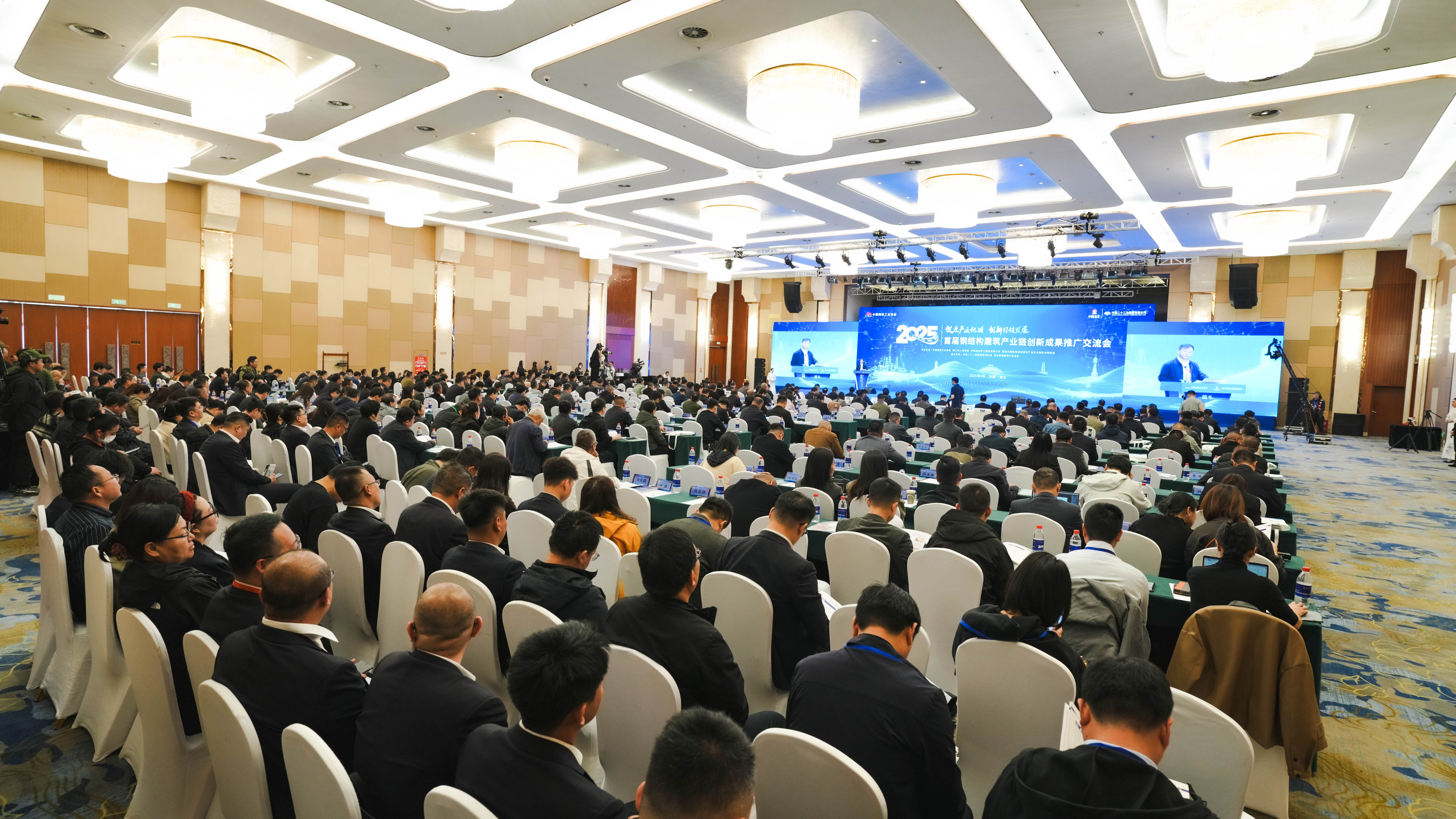 DSC05441-202504081635324256-65937919-444